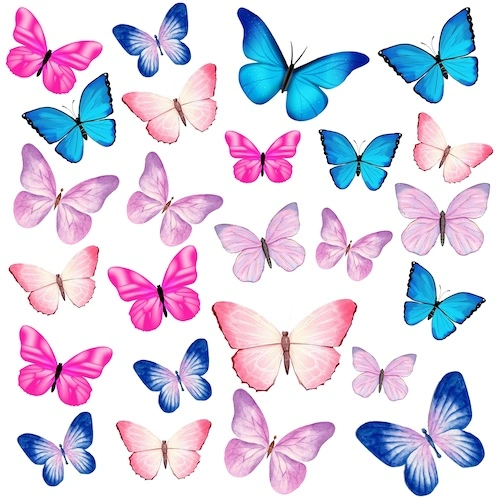 Motyle 3D